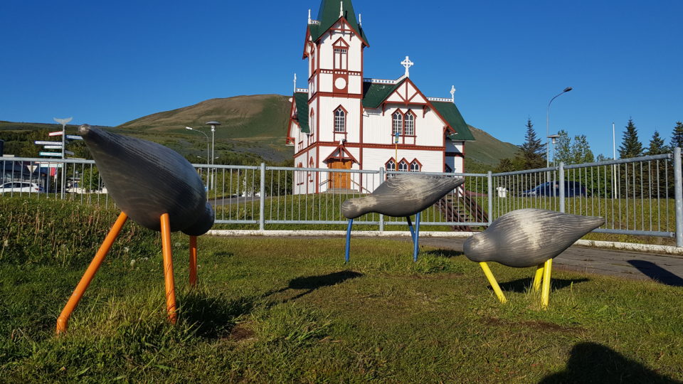Shorebirds in front of Húsavík church © Húsavíkurstofa