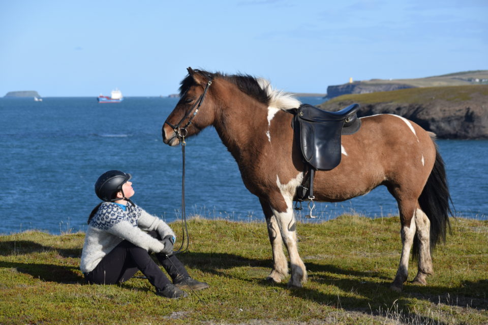 © Saltvík Horse Rental